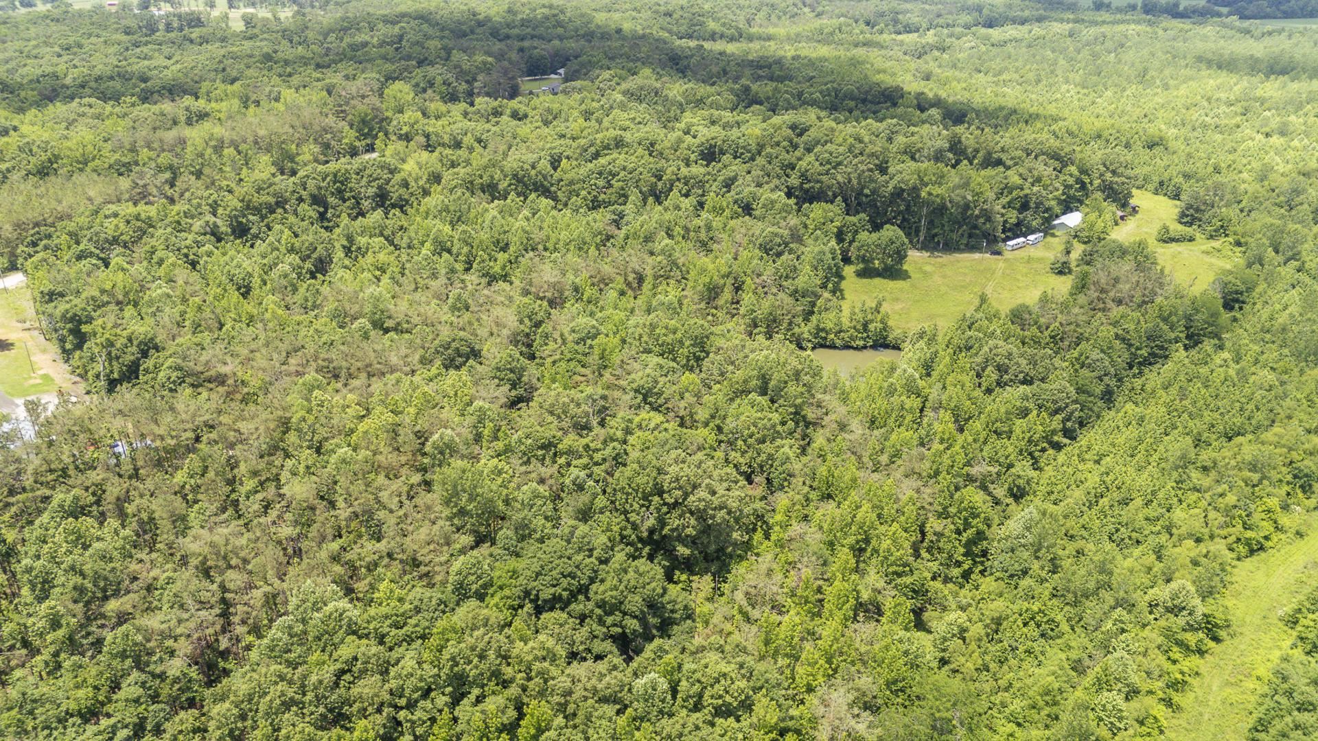 904 Capooth Road Ramer, TN 38367 - Photo 37 of 40