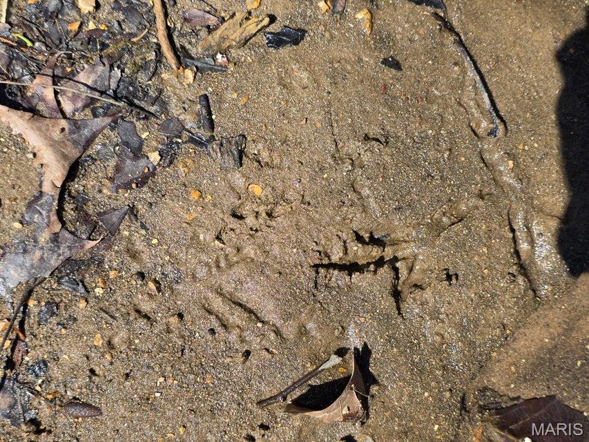 0 Boster Road Yukon, MO 65589 - Photo 22 of 23