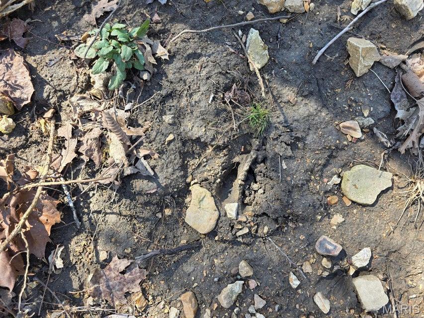 0 Boster Road Yukon, MO 65589 - Photo 23 of 23