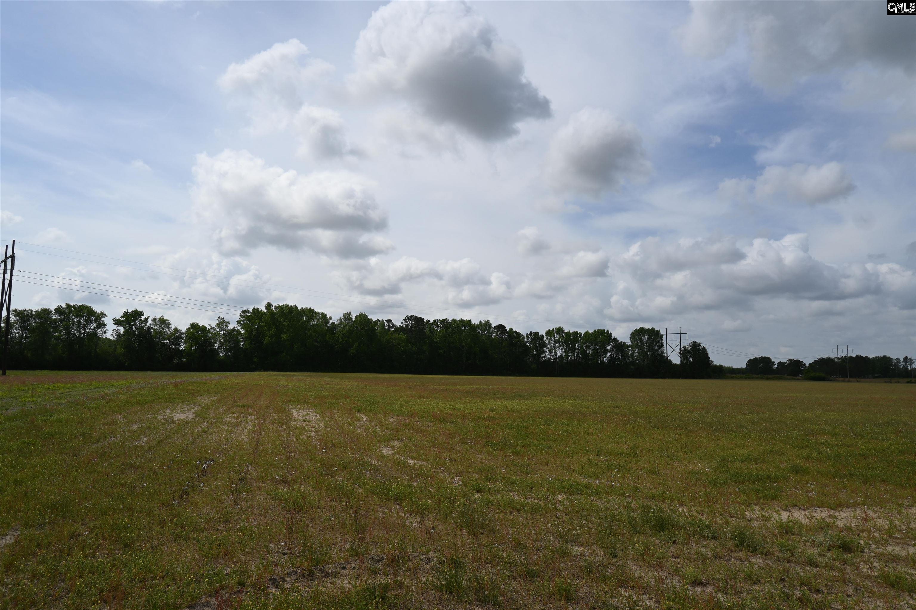 Tbd Gallowaytown Road Hartsville, SC 29550 - Photo 27 of 34