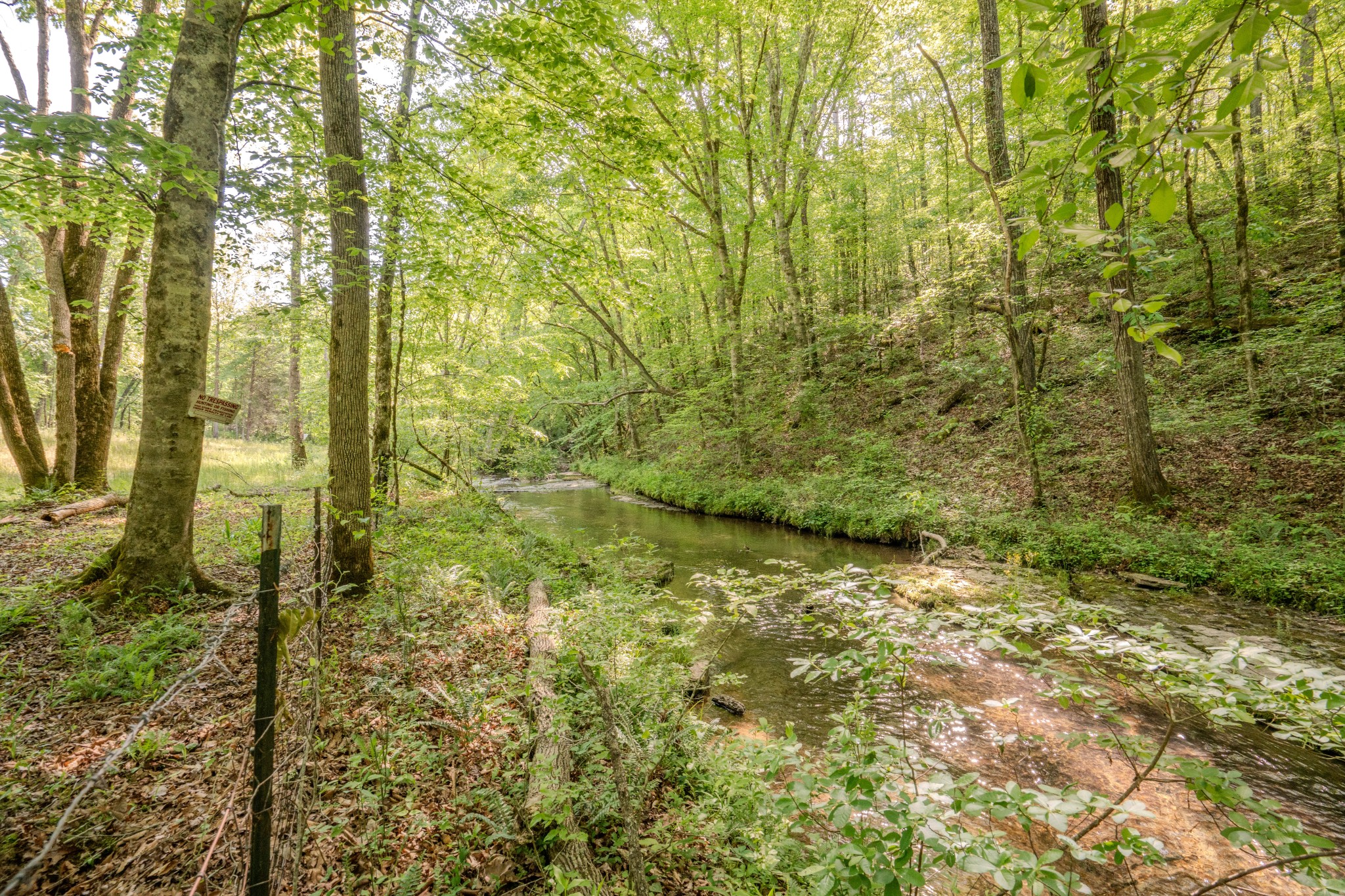 875 Waterloo Road Westpoint, TN 38486 - Photo 66 of 89 Gallery Image 66