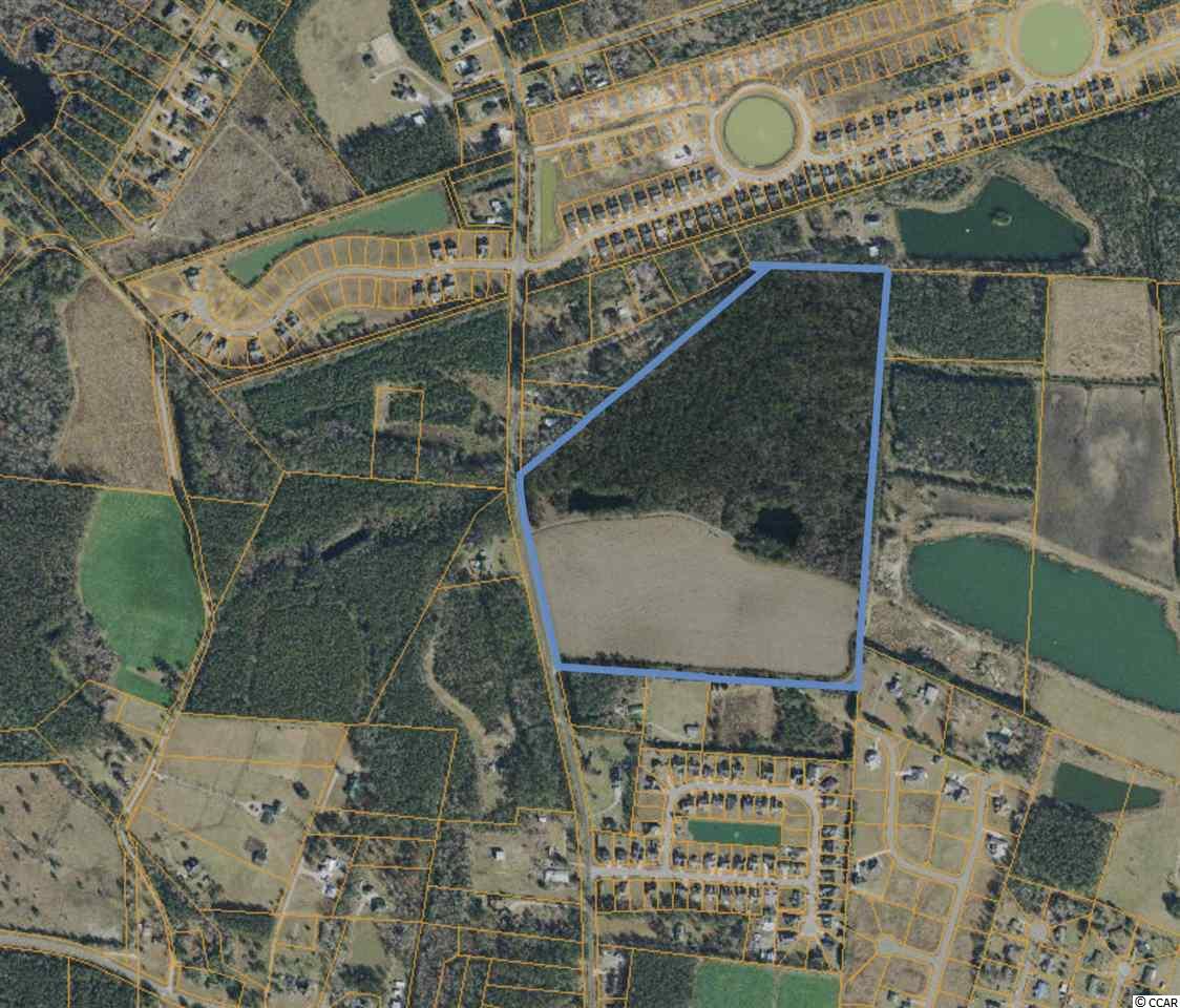 52-acres Bear Bluff Road Conway, SC 29526 - Photo 2 of 5 Gallery Image 2