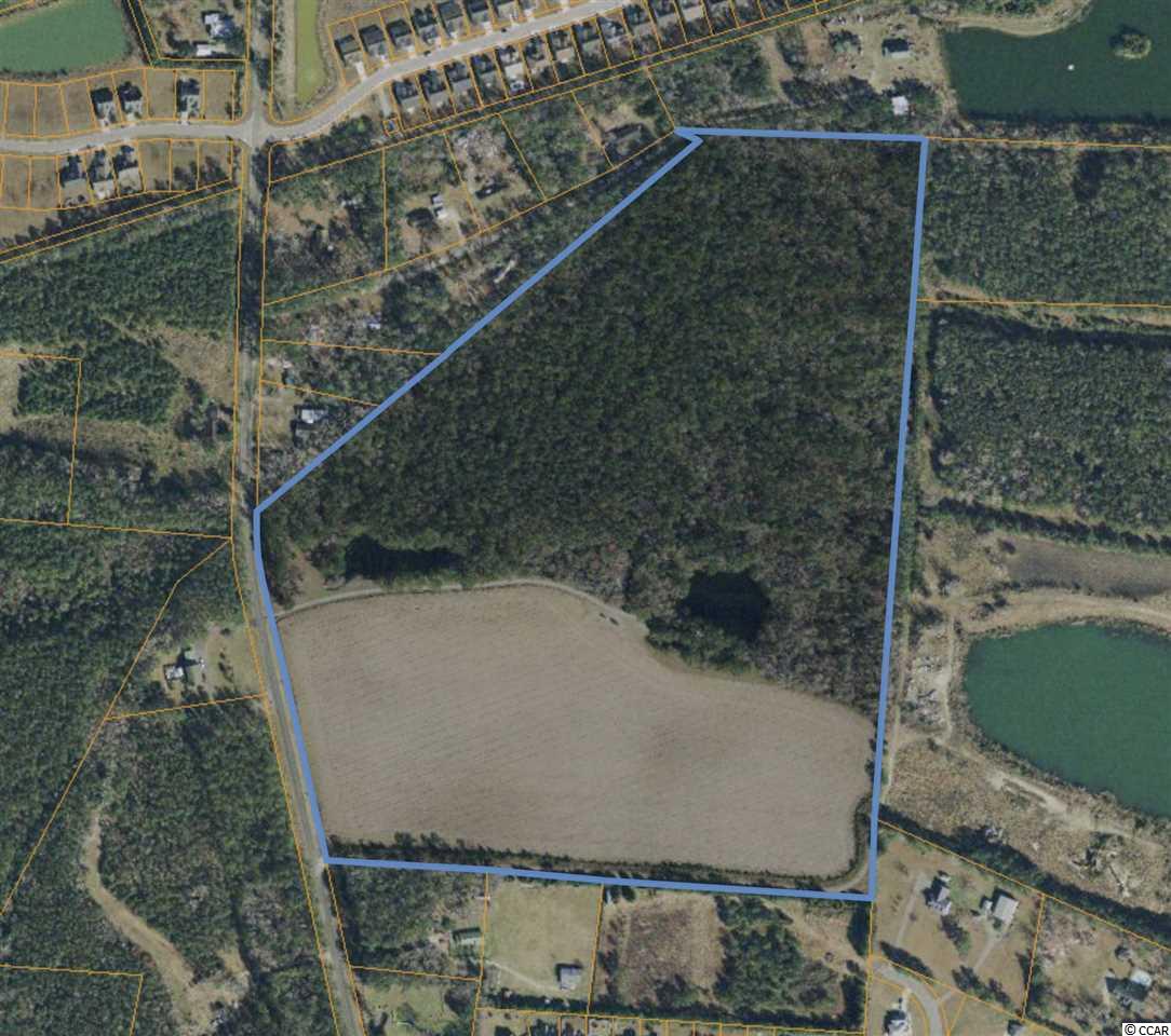 52-acres Bear Bluff Road Conway, SC 29526 - Photo 4 of 5 Gallery Image 4