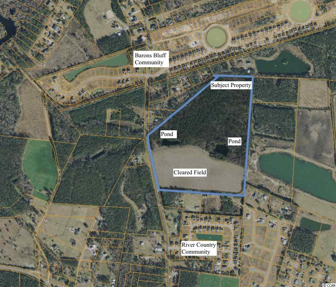 52-acres Bear Bluff Road Conway, SC 29526 - Photo 5 of 5 Gallery Image 5