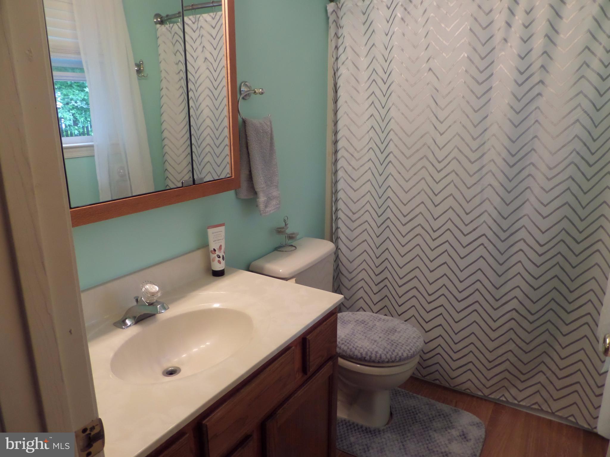 11308 Commanche Road Lusby, MD 20657 - Photo 15 of 30 Bath (Master)