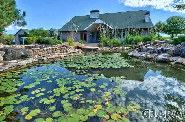 887 25 Road Grand Junction, CO 81505 - Photo 35 of 42 a front view of a house with a yard and potted plants