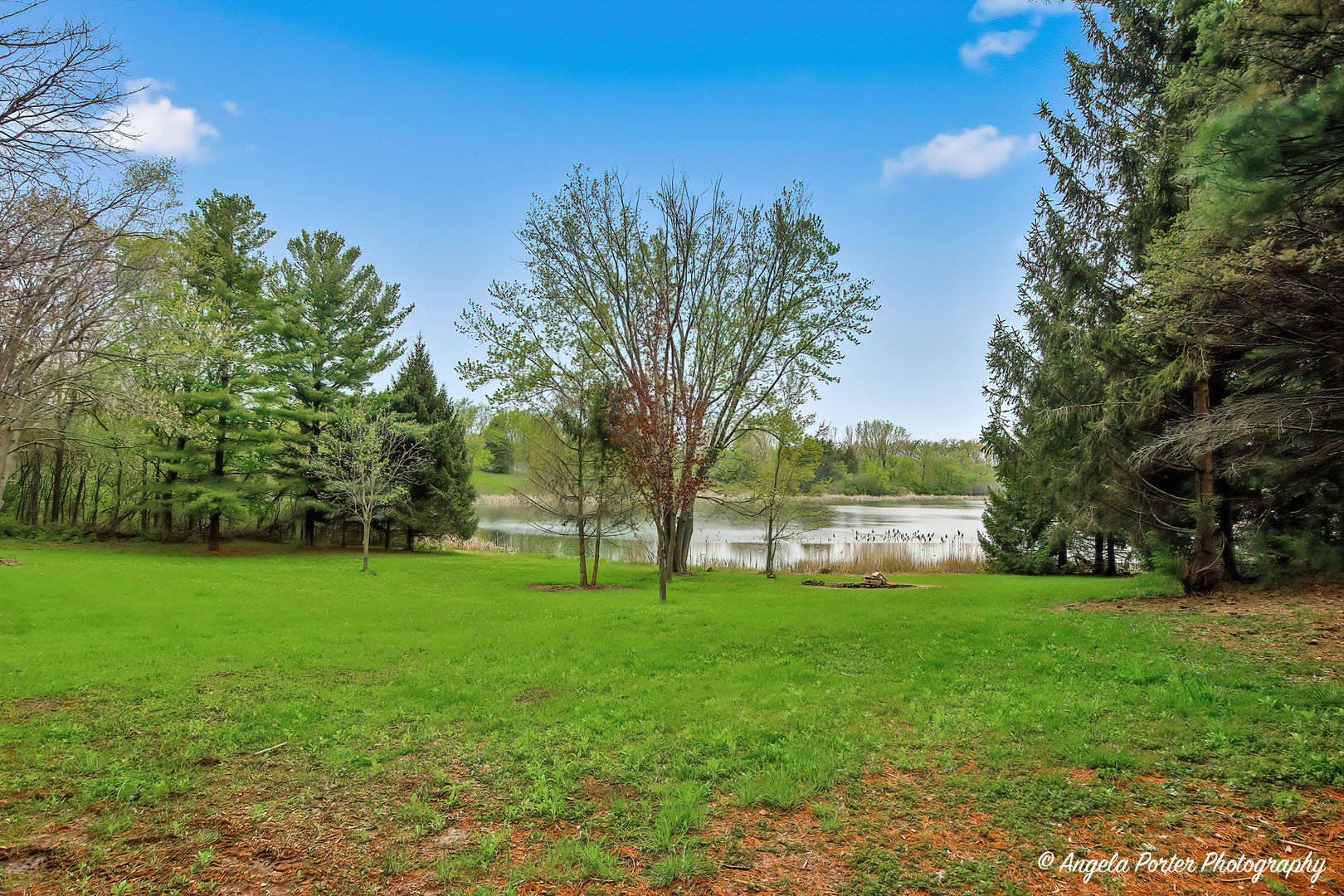 27580 Brandenburg Road Ingleside, IL 60041 - Photo 11 of 31