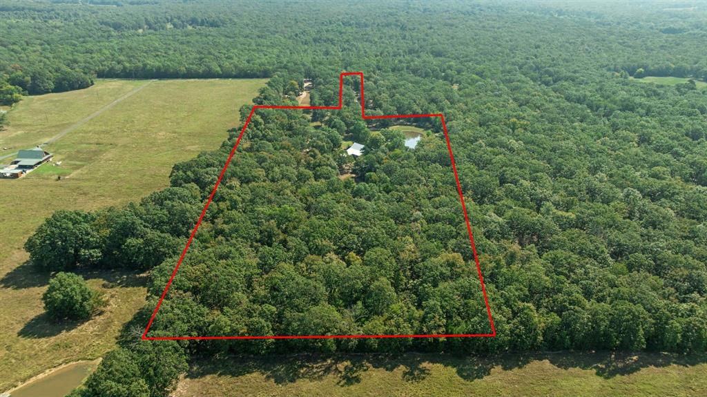2205 County Road Blossom, TX 75416 - Photo 24 of 27 Aerial view of property's location featuring a forest and property boundaries highlighted