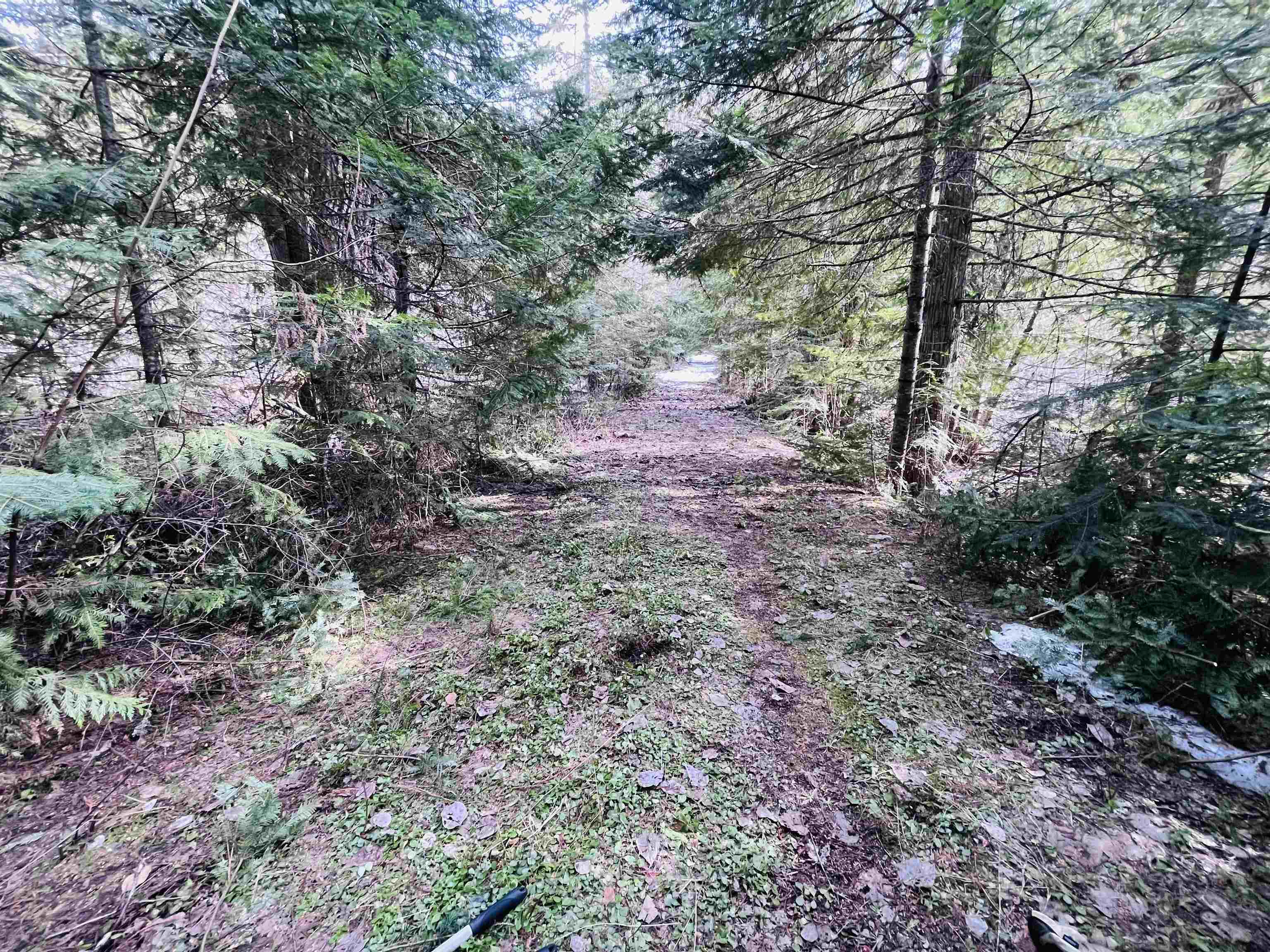 Xxxx Spring Valley Road Elk, WA 99009 - Photo 8 of 15 Gallery Image 8
