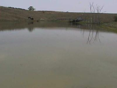 6375 Wades Mill Road Mount Sterling, KY 40353 - Photo 2 of 8 Photo 2