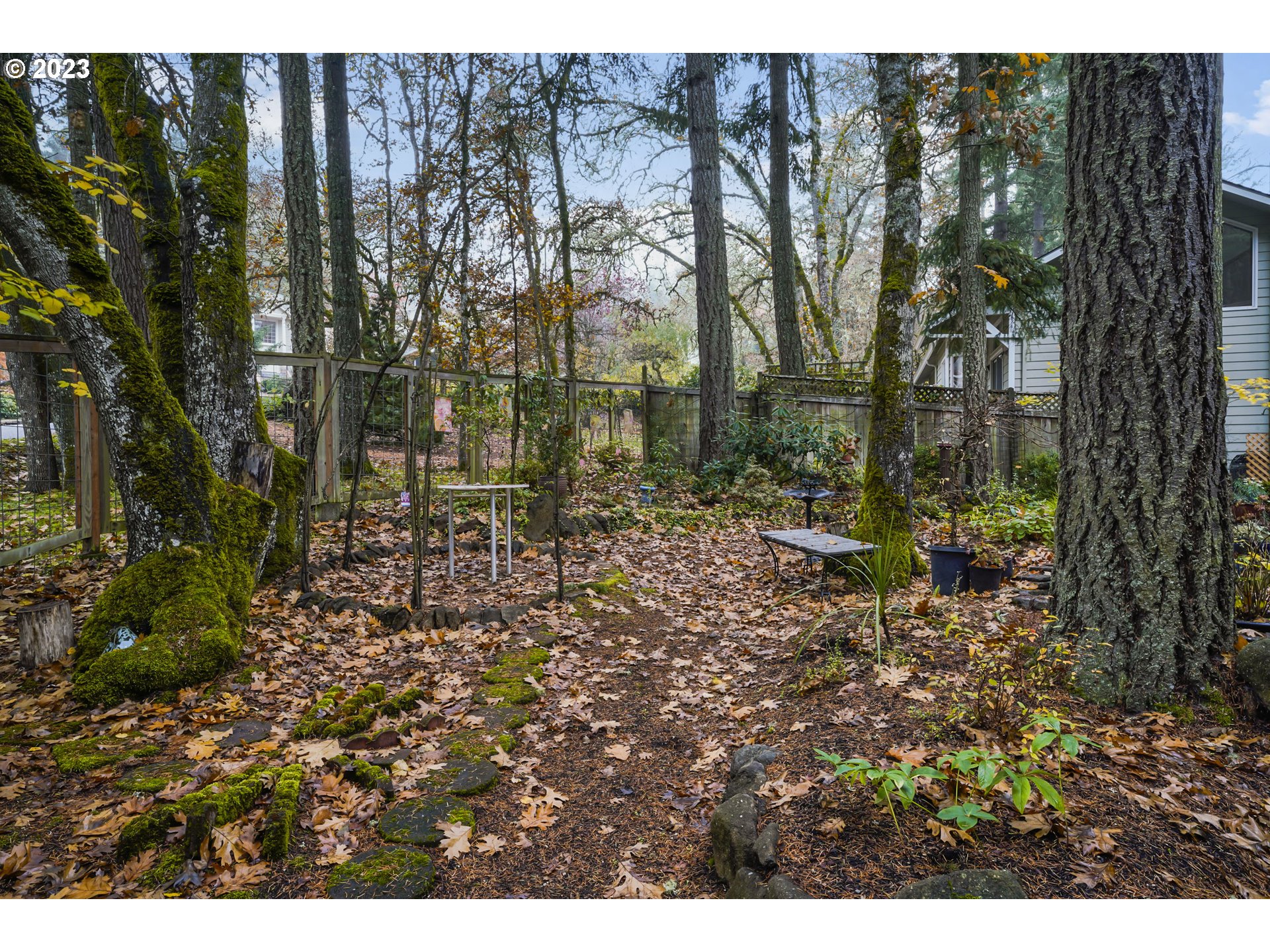 3431 Timberline Drive Eugene, OR 97405 - Photo 36 of 39 a backyard of a house with lots of green space