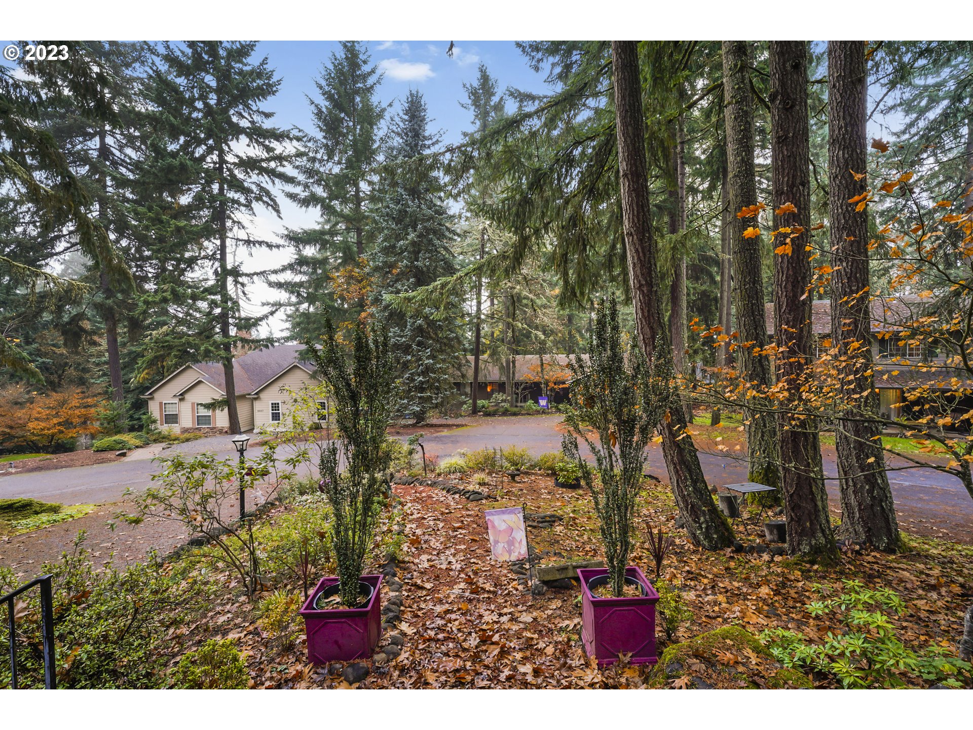 3431 Timberline Drive Eugene, OR 97405 - Photo 4 of 39 a view of an outdoor space