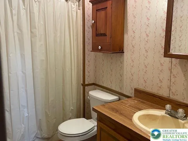 a bathroom with a sink a toilet and shower curtain