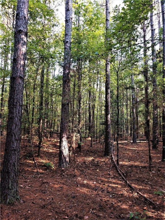 154 Flatrock Road Honea Path, SC 29654 - Photo 2 of 12 Gallery Image 2