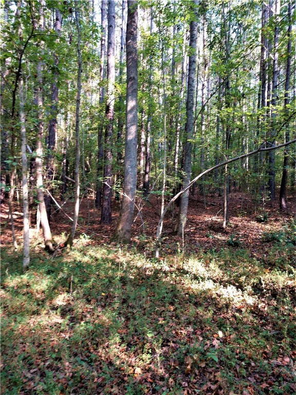 154 Flatrock Road Honea Path, SC 29654 - Photo 4 of 12 Gallery Image 4