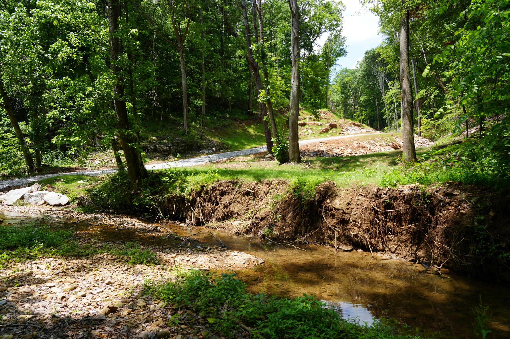 1 Budds Creek Road Palmyra, TN 37142 - Photo 16 of 76