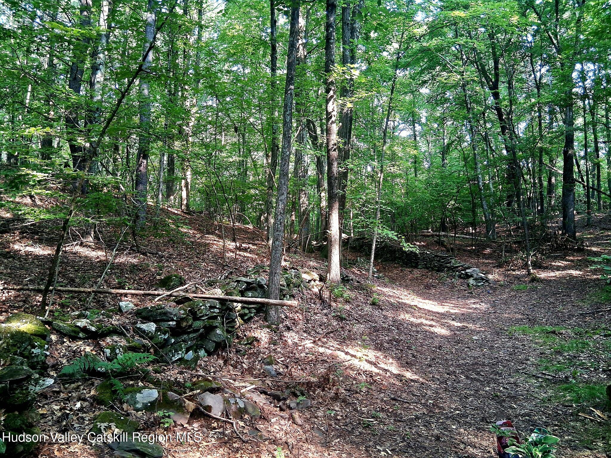 248 Canniff Road Freehold, NY 12431 - Photo 13 of 20 IMG_20260811_215922