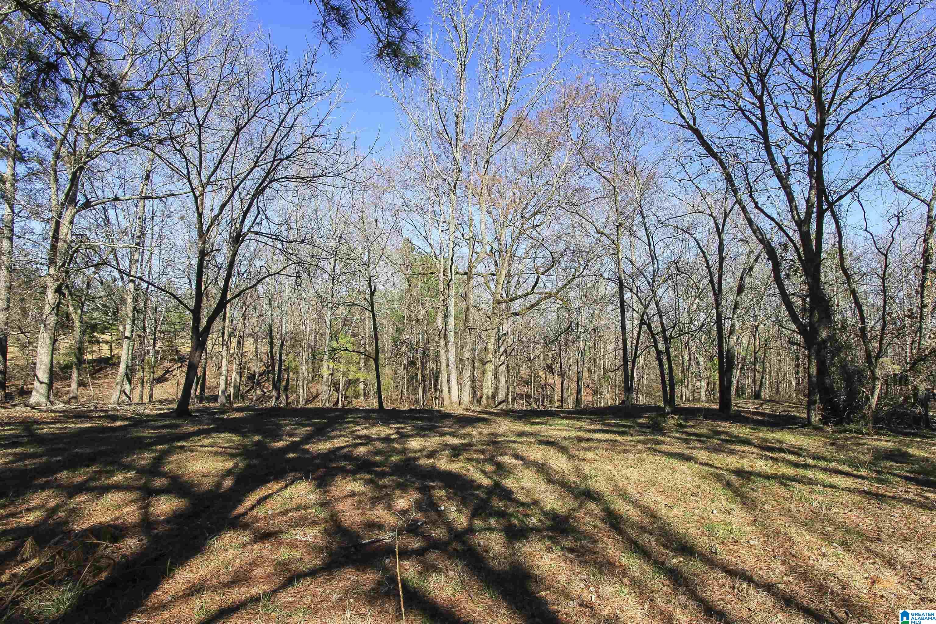 1976 Kirkseys Bend Ohatchee, AL 36271 - Photo 43 of 71