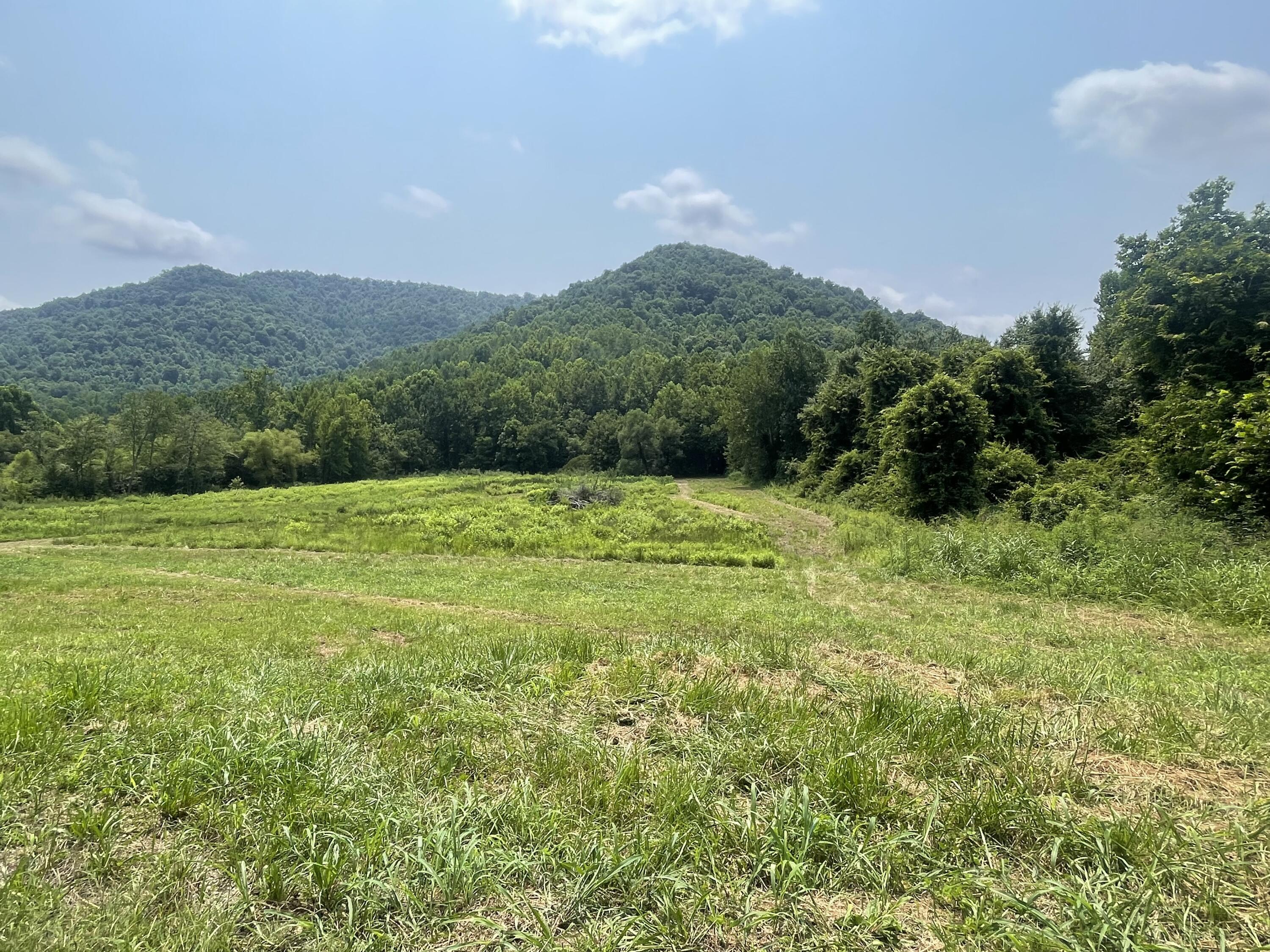 791 Moore Creek Road Fourmile, KY 40939 - Photo 2 of 10 IMG_4078