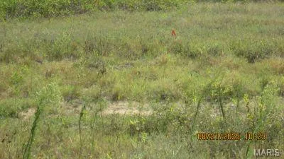 $199,000 | 224 South Interstate Drive, Sikeston, MO 63801