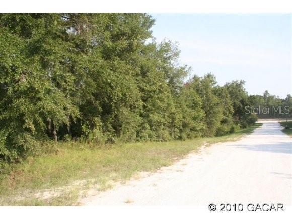 2168 Southwest Loncala Loop Fort White, FL 32038 - Photo 1 of 1 Gallery Image 1