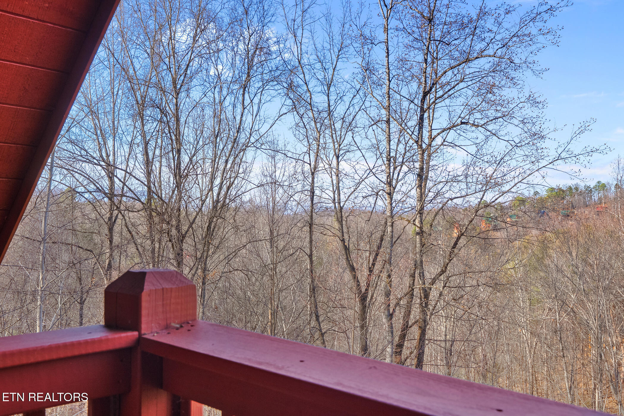 1322 Ridgefield Drive Sevierville, TN 37876 - Photo 31 of 46 dsc06559