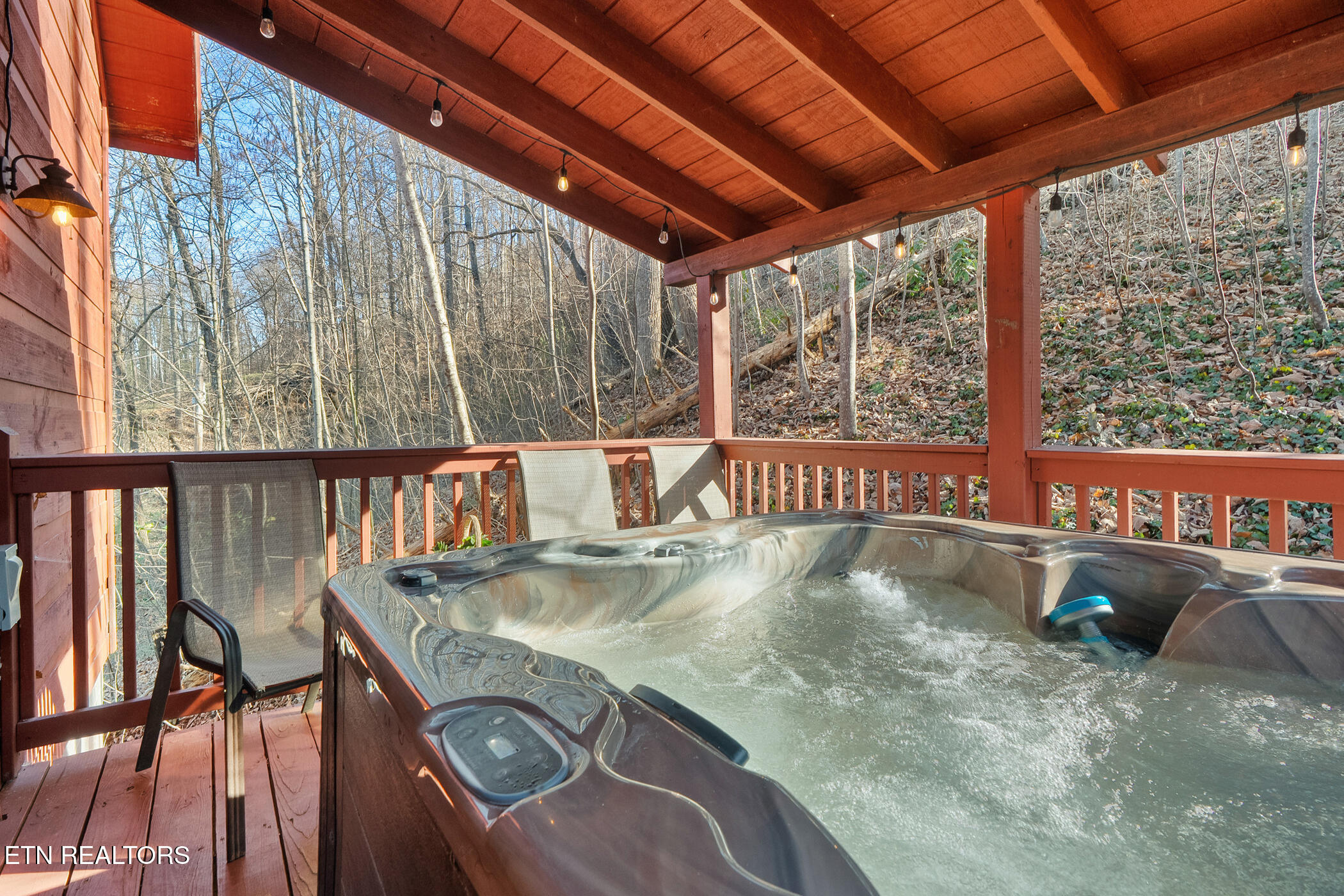 1322 Ridgefield Drive Sevierville, TN 37876 - Photo 32 of 46 dsc06524