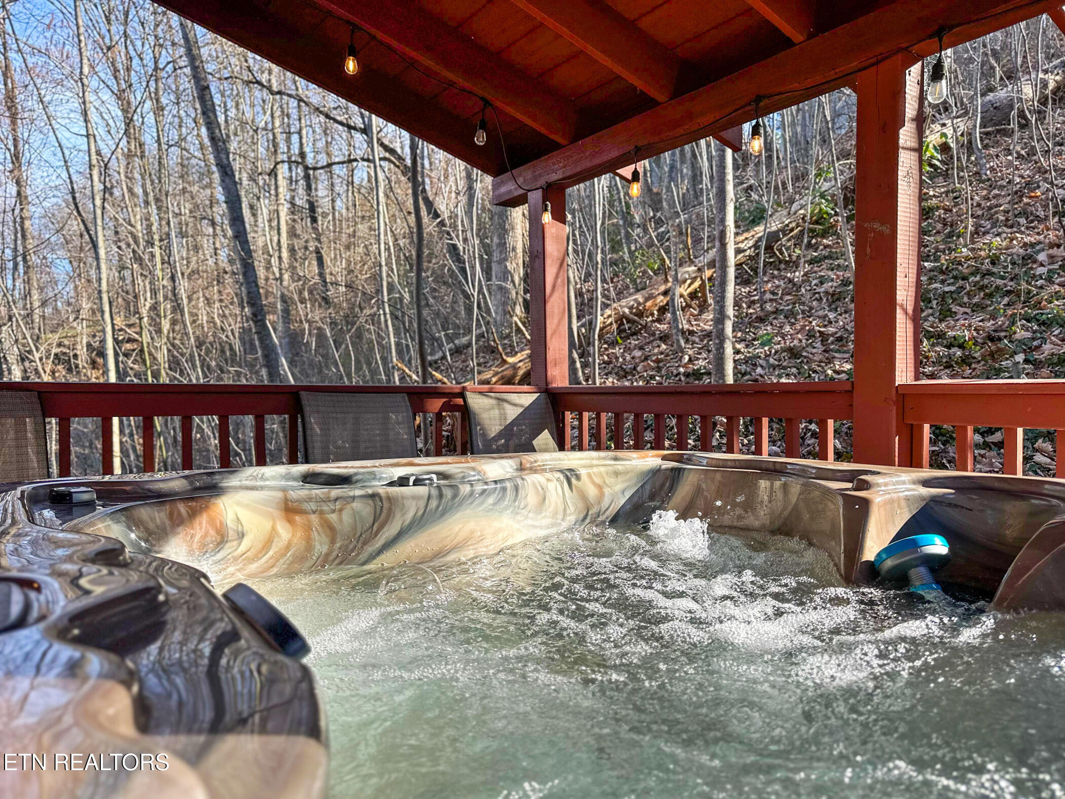 1322 Ridgefield Drive Sevierville, TN 37876 - Photo 34 of 46 img_3024