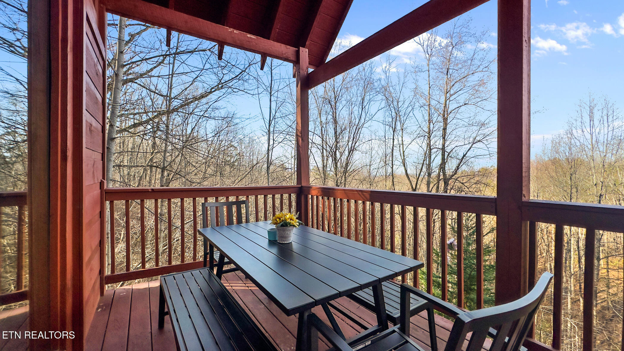 1322 Ridgefield Drive Sevierville, TN 37876 - Photo 36 of 46 img_3032