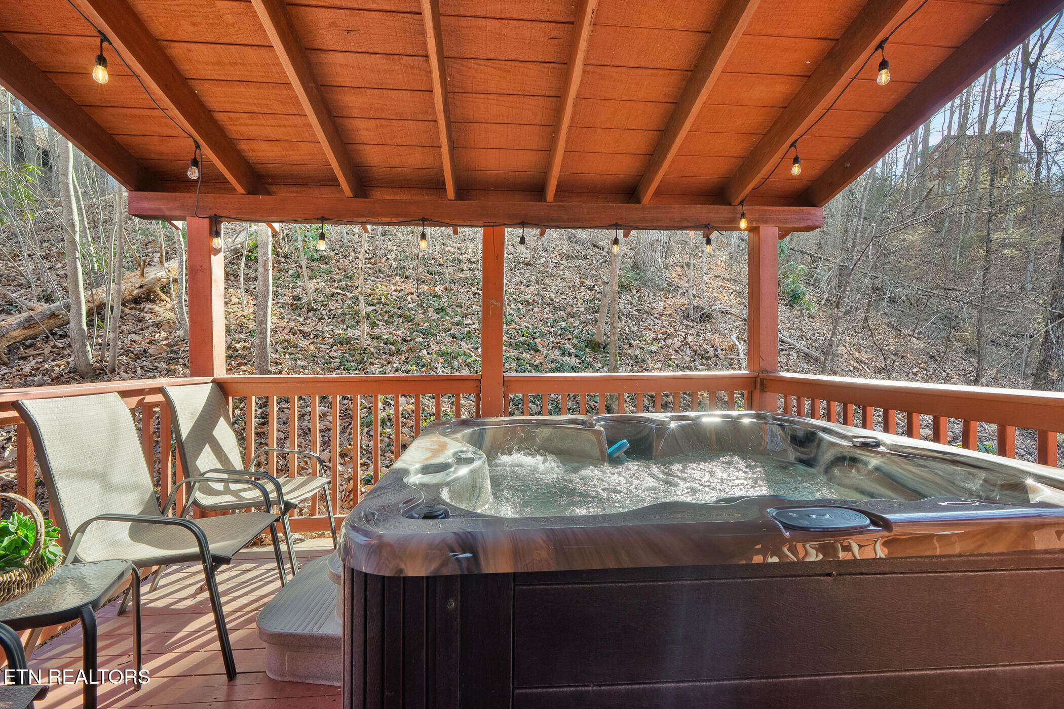 1322 Ridgefield Drive Sevierville, TN 37876 - Photo 55 of 60 dsc06519