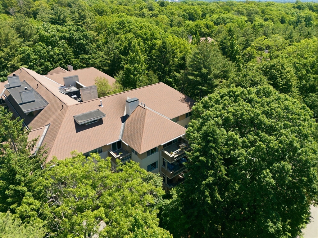 232 Allandale Road, Unit 3A Boston, MA 02467 - Photo 35 of 38 Gallery Image 35