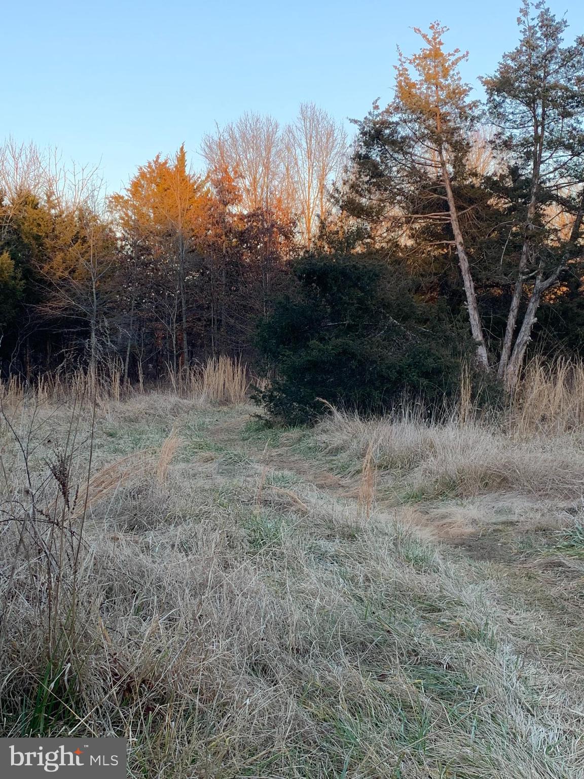 Berry Hill Road Elkwood, VA 22718 - Photo 4 of 8