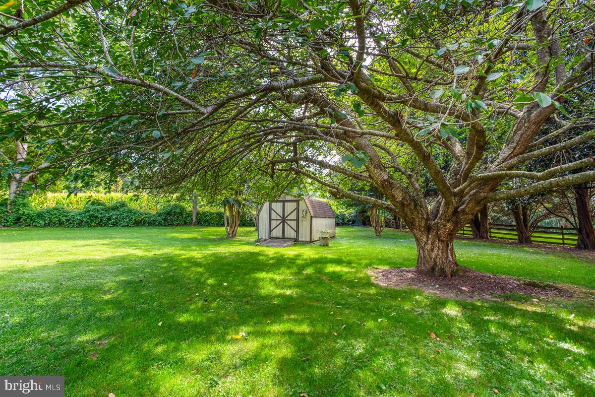 674 Teton Drive Lothian, MD 20711 - Photo 38 of 38 a huge green field with lots of trees