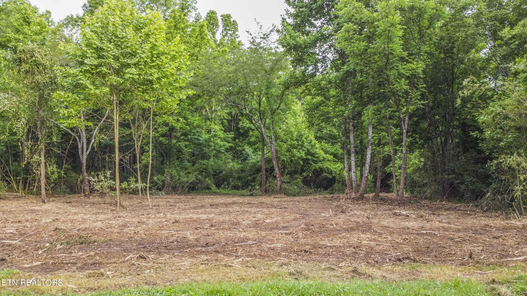 5 Emory River Road Harriman, TN 37748 - Photo 6 of 23 Gallery Image 6