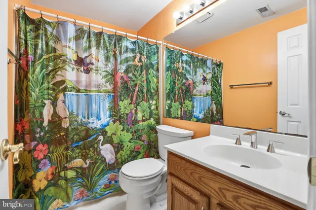 a bathroom with a sink mirror vanity and toilet