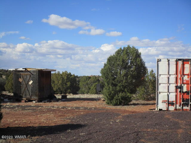 11 N9191 Concho, AZ 85924 - Photo 11 of 27