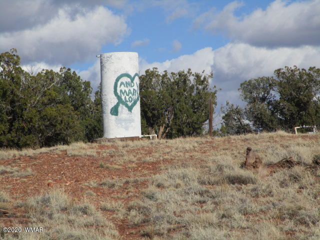 11 N9191 Concho, AZ 85924 - Photo 16 of 27