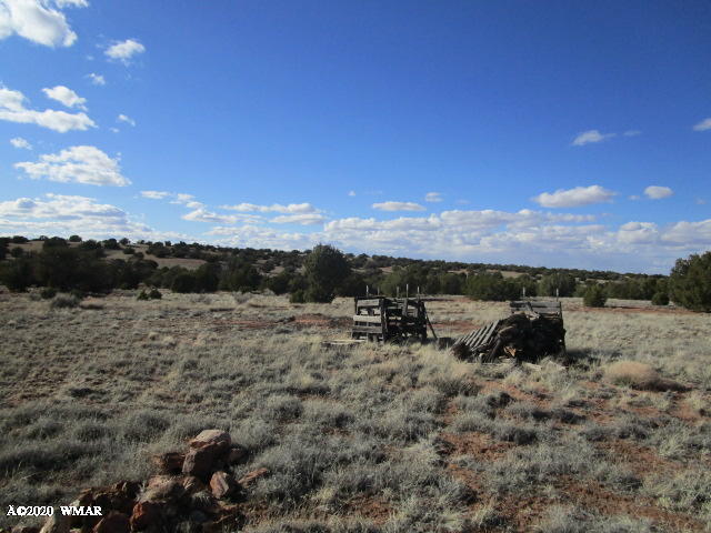 11 N9191 Concho, AZ 85924 - Photo 22 of 27