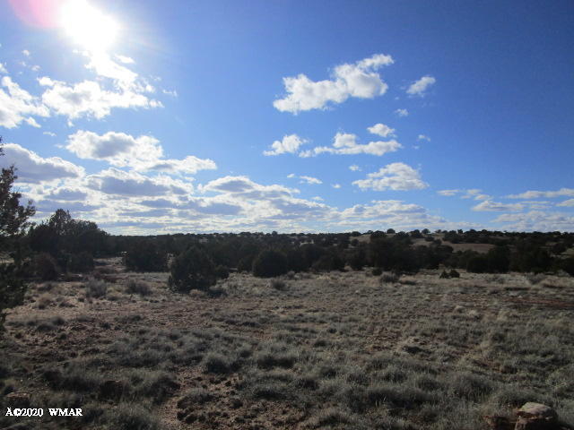 11 N9191 Concho, AZ 85924 - Photo 23 of 27