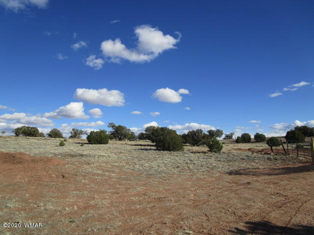 11 N9191 Concho, AZ 85924 - Photo 24 of 27