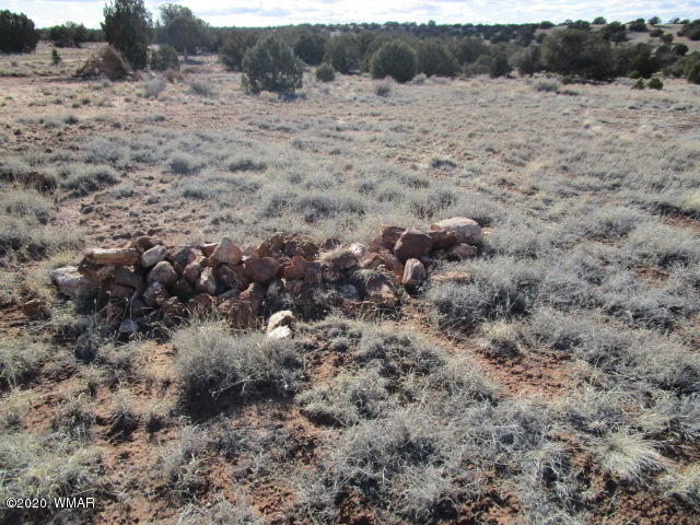 11 N9191 Concho, AZ 85924 - Photo 25 of 27