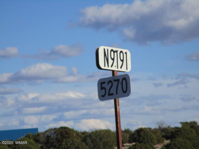 11 N9191 Concho, AZ 85924 - Photo 27 of 27