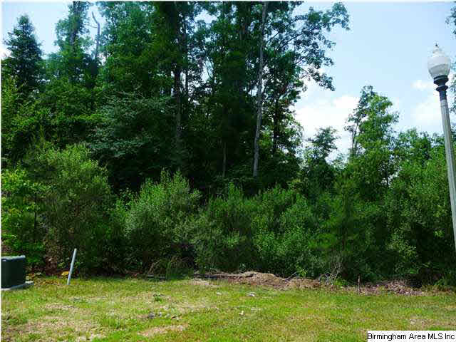 4299 Kings Mountain Ridge, Unit 754A Birmingham, AL 35242 - Photo 2 of 6