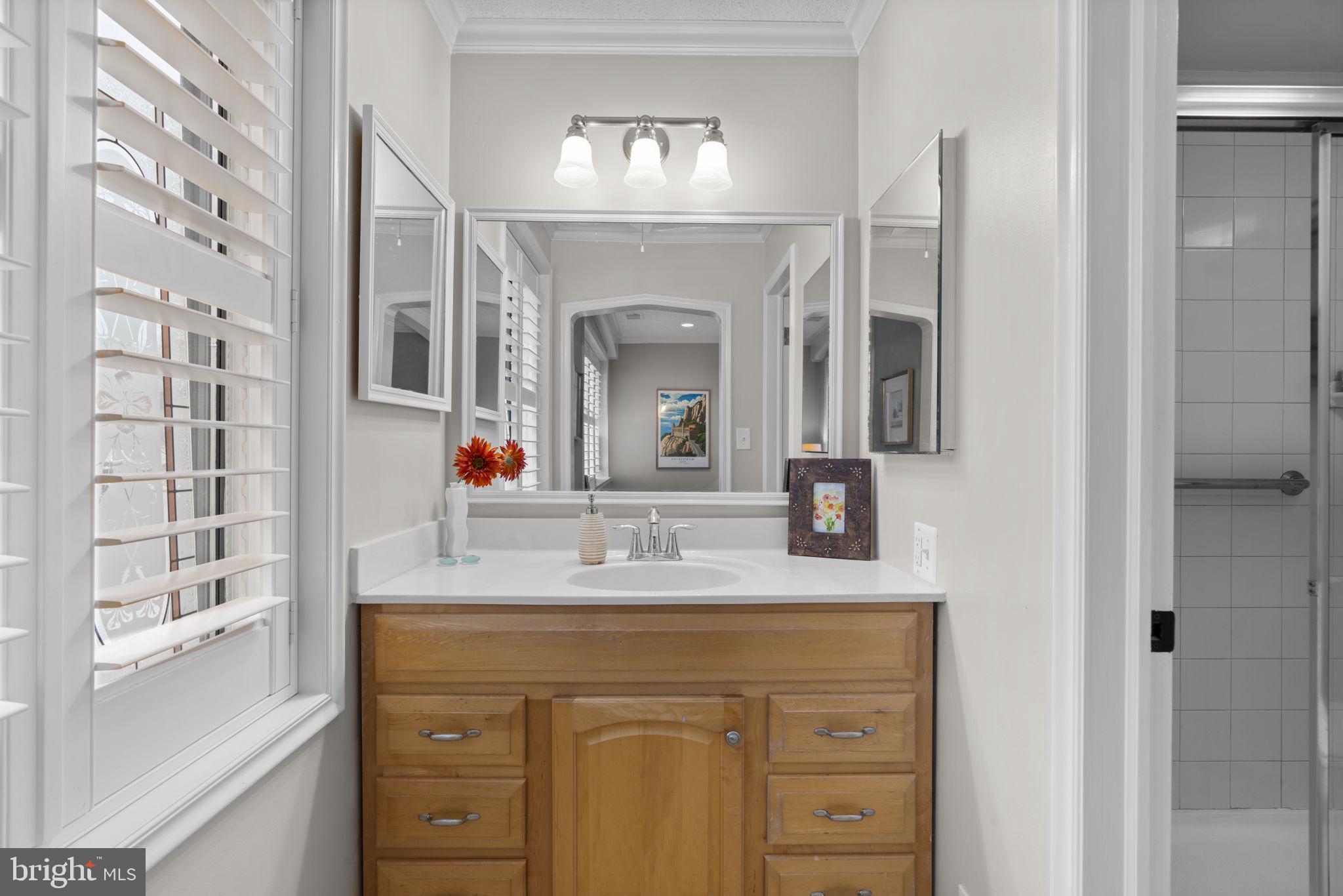 10077 Windstream Drive, Unit 4 Columbia, MD 21044 - Photo 24 of 59 Primary bath