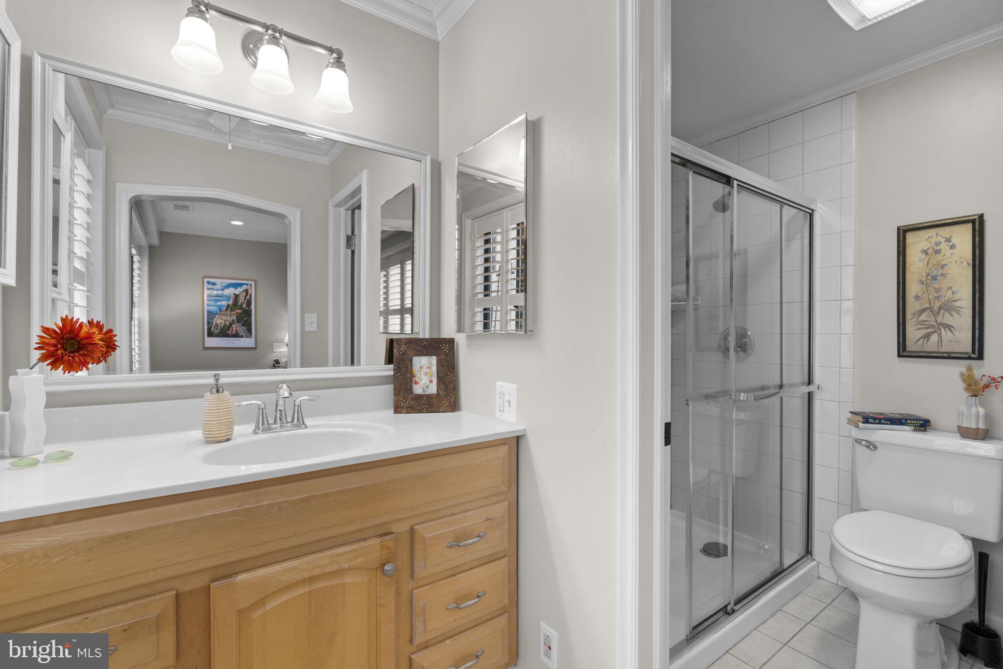 10077 Windstream Drive, Unit 4 Columbia, MD 21044 - Photo 25 of 59 Primary bath