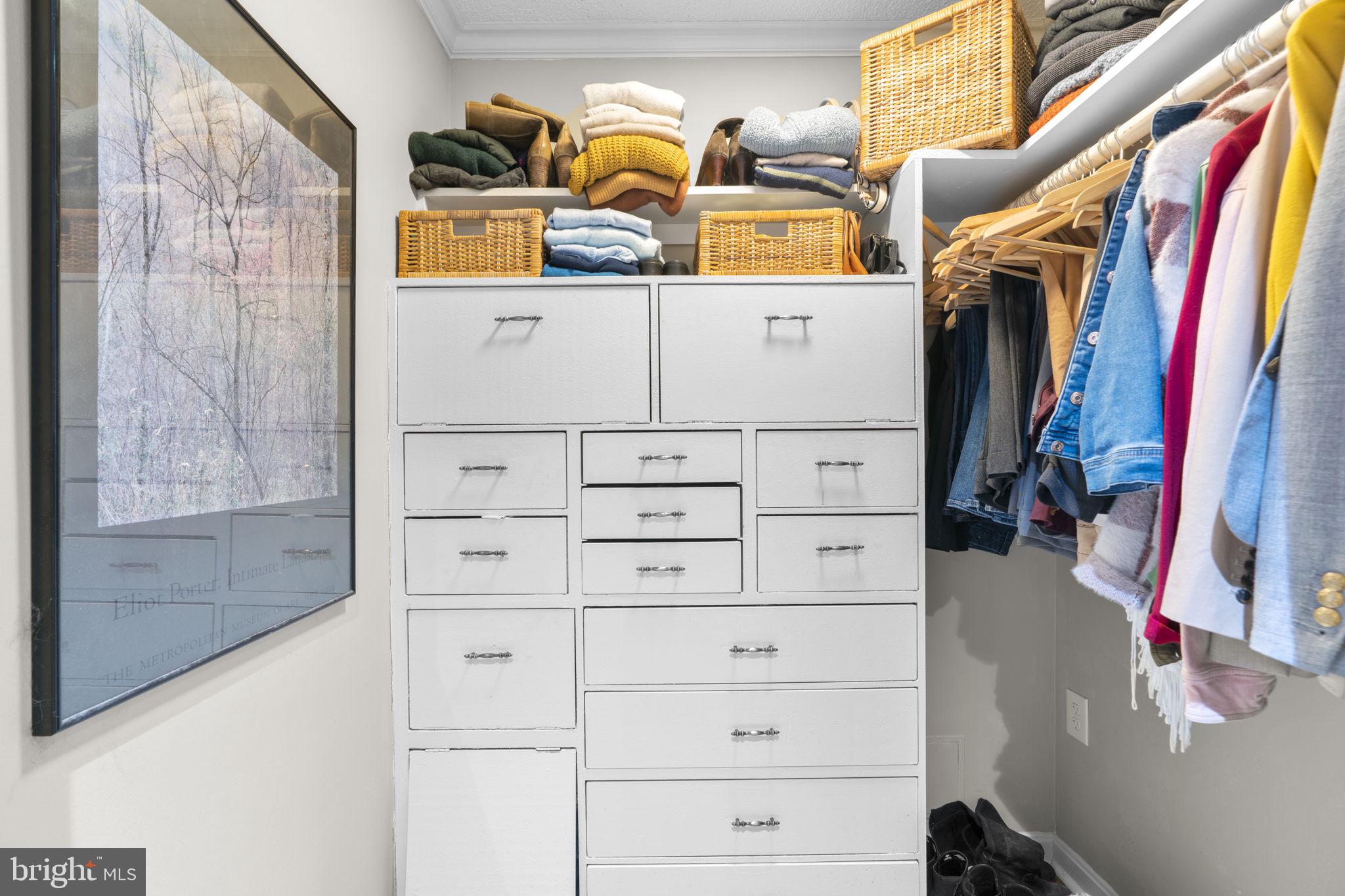 10077 Windstream Drive, Unit 4 Columbia, MD 21044 - Photo 28 of 59 Primary BD walk-in closet with custom built-ins