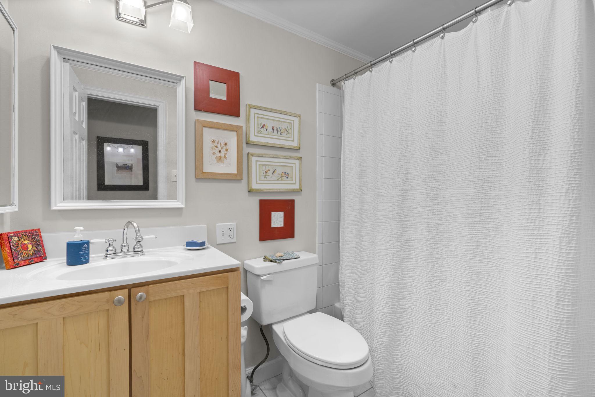 10077 Windstream Drive, Unit 4 Columbia, MD 21044 - Photo 35 of 59 2nd full bath