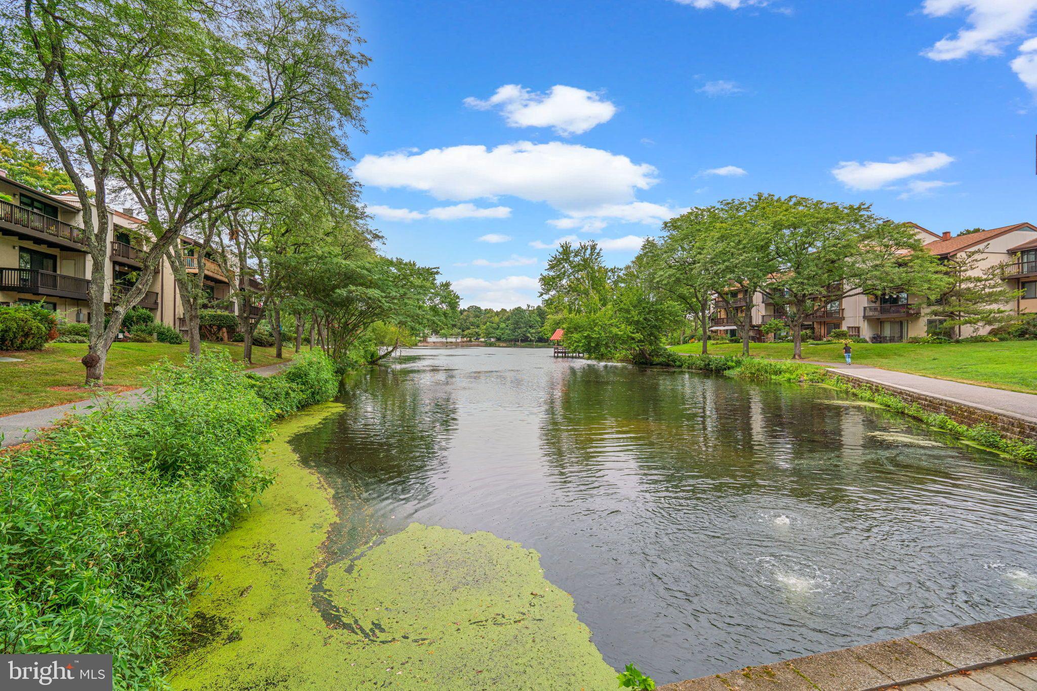 10077 Windstream Drive, Unit 4 Columbia, MD 21044 - Photo 44 of 59 Community amenities - Lake views