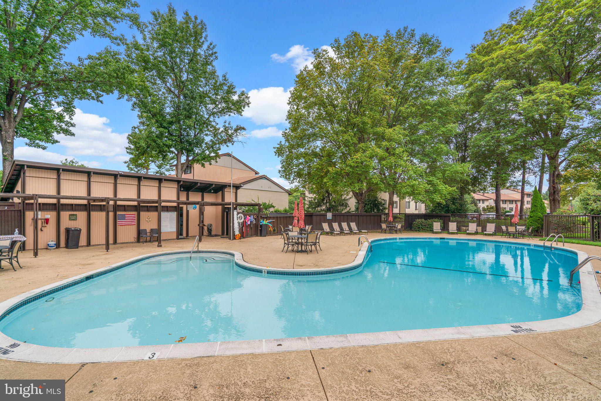 10077 Windstream Drive, Unit 4 Columbia, MD 21044 - Photo 46 of 59 In-ground community pool