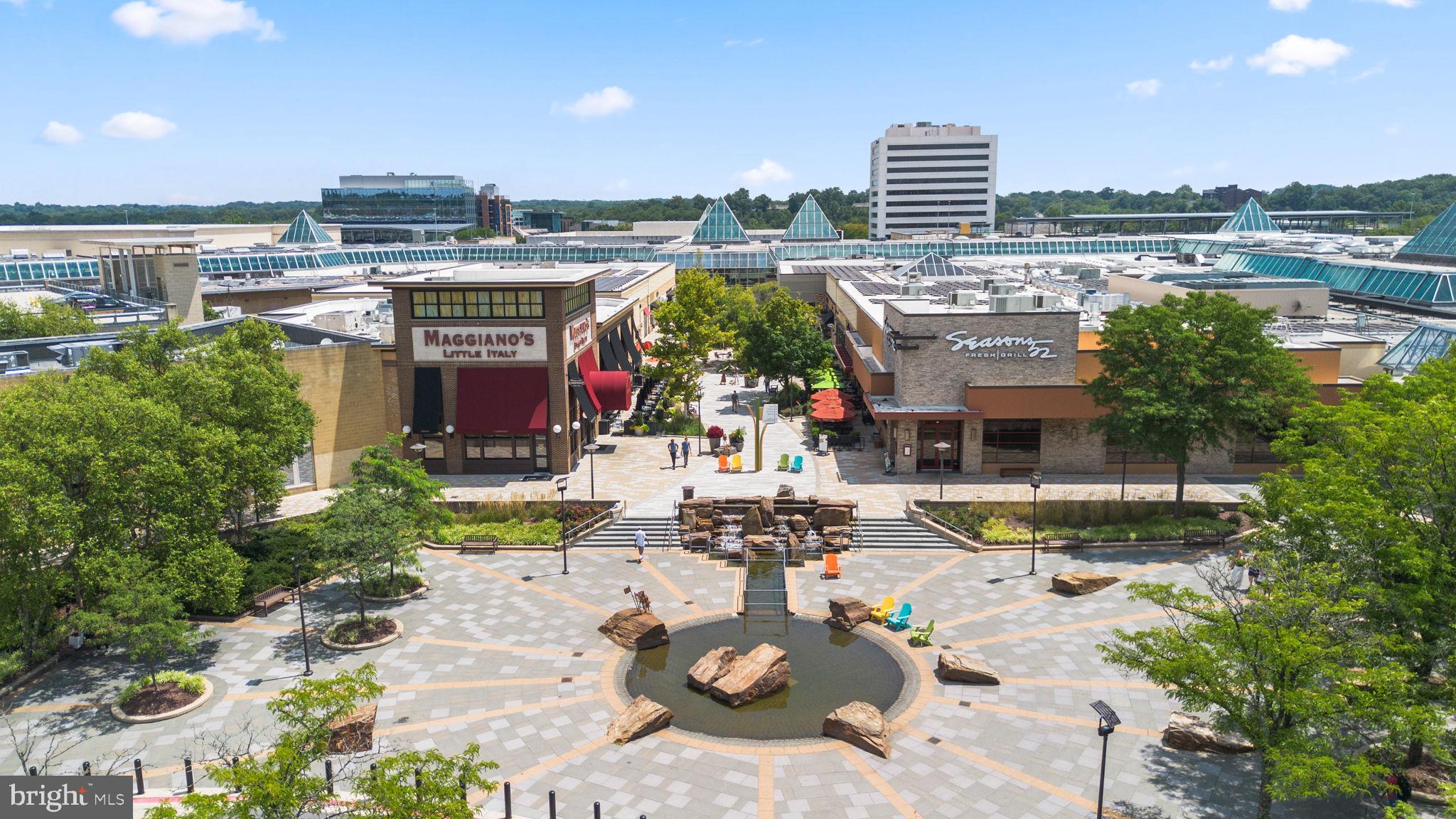 10077 Windstream Drive, Unit 4 Columbia, MD 21044 - Photo 55 of 59 Shopping and dining